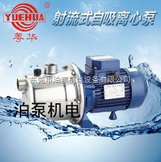 阳江 泊泵机电 总厂销售 粤华牌 不锈钢离心泵
