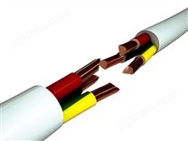 氟塑料绝缘和护套耐高温特种电缆