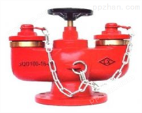 消防阀门-多用式地下消防水泵接合器厂家SQD