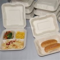 1000ml食堂学生饭盒餐盒一次性可降解餐盒