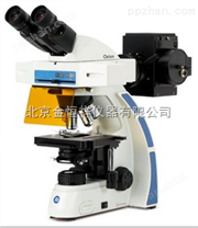 荷兰euromex进口Ox3020型双目荧光显微镜